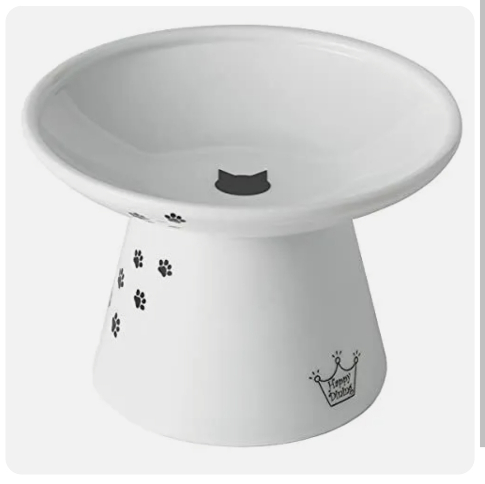Raised Cat Bowl